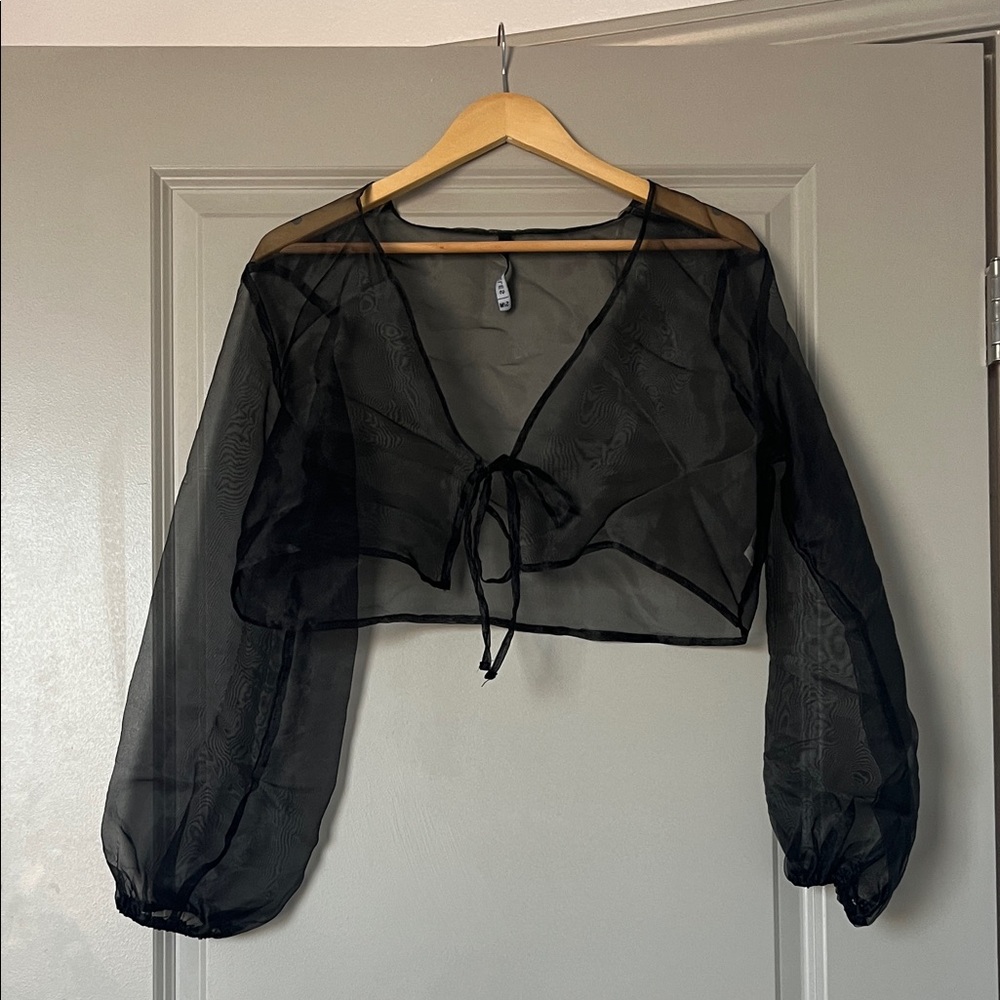 Cropped Sheer Top | Black | S/M